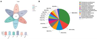 Transcriptome analysis of the response of Hypomyces chrysospermus to cadmium stress